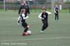 dsc_0217_small.jpg