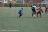 dsc_0241_small.jpg