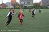 dsc_1667_small.jpg