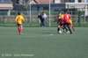 dsc_0302_small.jpg