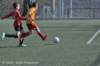 dsc_0303_small.jpg