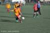 dsc_0318_small.jpg