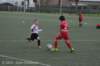 dsc_0246_small.jpg