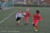 dsc_0254_small.jpg