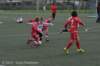dsc_0258_small.jpg