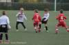 dsc_0263_small.jpg