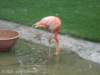 dscn0201_small.jpg