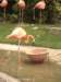 dscn0202_small.jpg