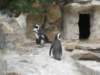 dscn0203_small.jpg