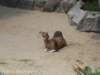 dscn0208_small.jpg