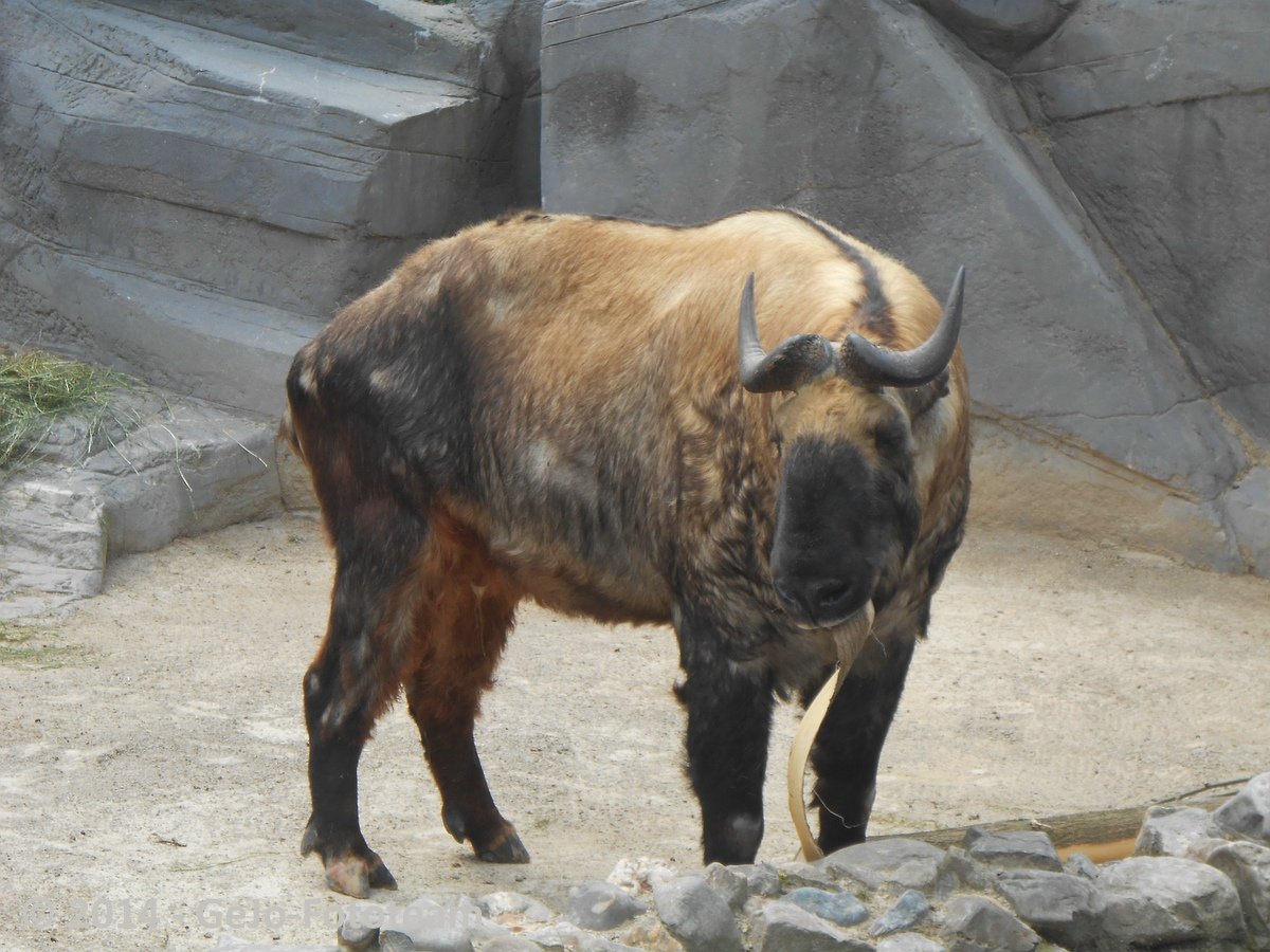 dscn0209.jpg