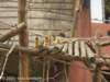 dscn0214_small.jpg