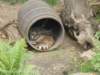 dscn0217_small.jpg