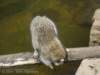 dscn0218_small.jpg