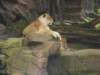 dscn0221_small.jpg