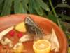 dscn0224_small.jpg