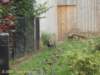 dscn0227_small.jpg