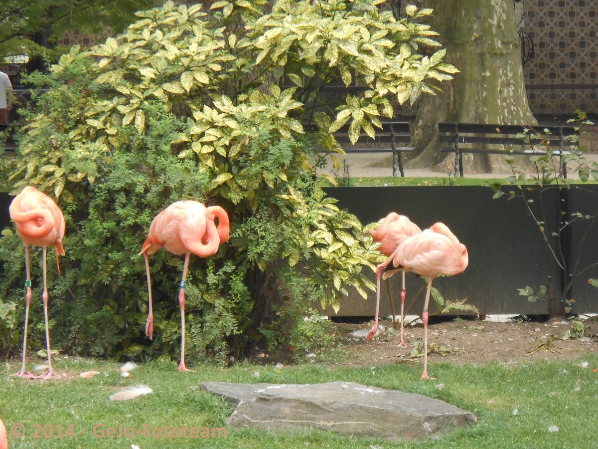 dscn0405.jpg