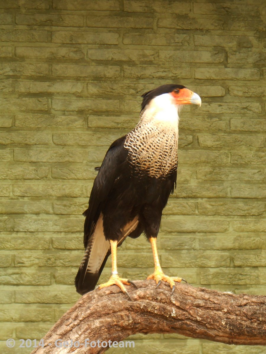 dscn0426.jpg