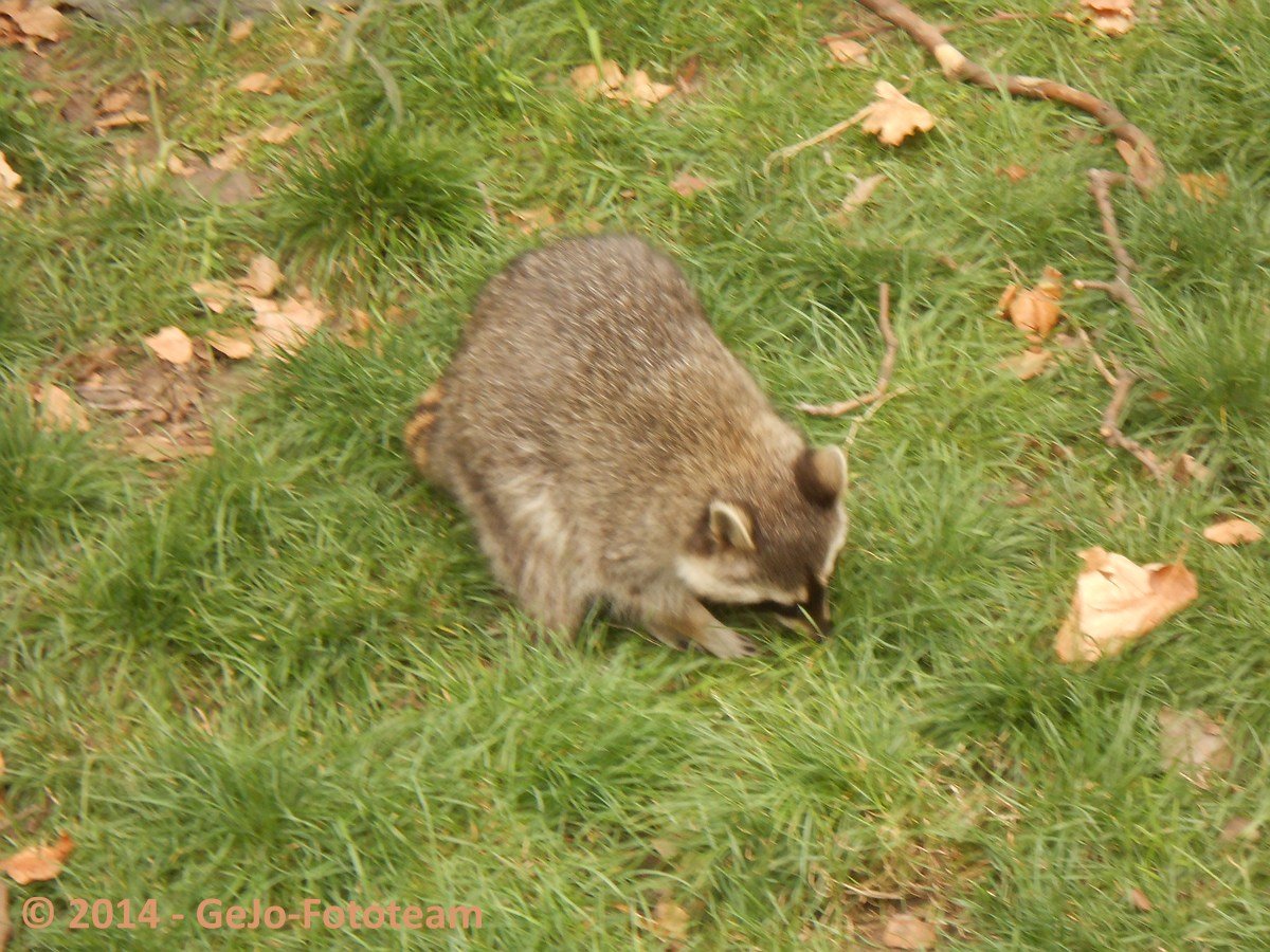 dscn0433.jpg