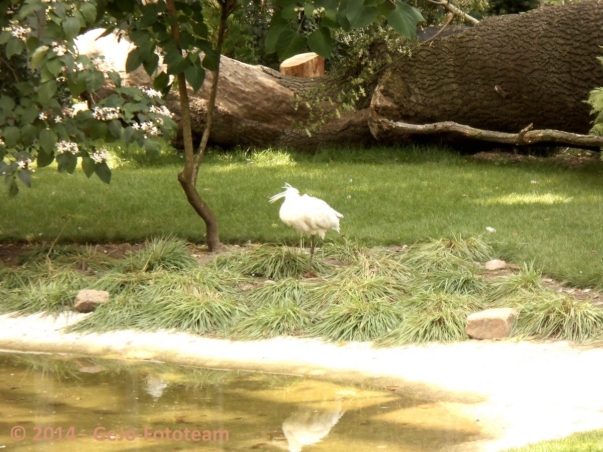 dscn0435.jpg