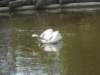 dscn0436_small.jpg