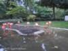 dscn0105_small.jpg