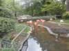 dscn0106_small.jpg