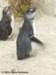dscn0108_small.jpg