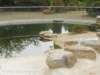 dscn0110_small.jpg