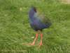 dscn0112_small.jpg