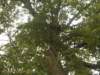 dscn0113_small.jpg