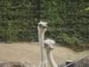 dscn0116_small.jpg