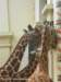 dscn0117_small.jpg