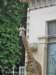 dscn0120_small.jpg