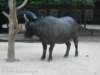 dscn0122_small.jpg