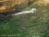 dscn0124_small.jpg