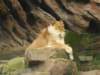 dscn0125_small.jpg