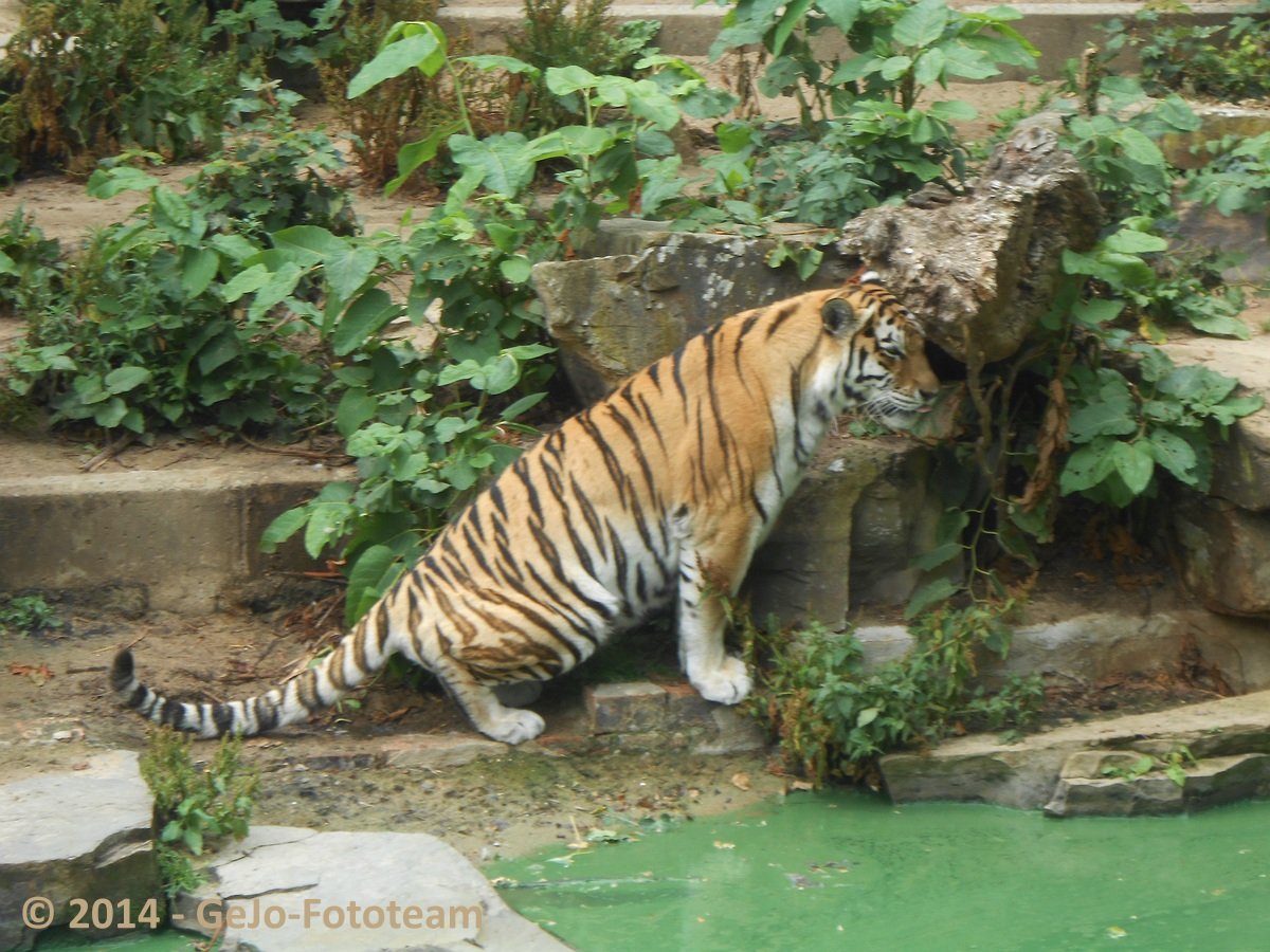 dscn0128.jpg