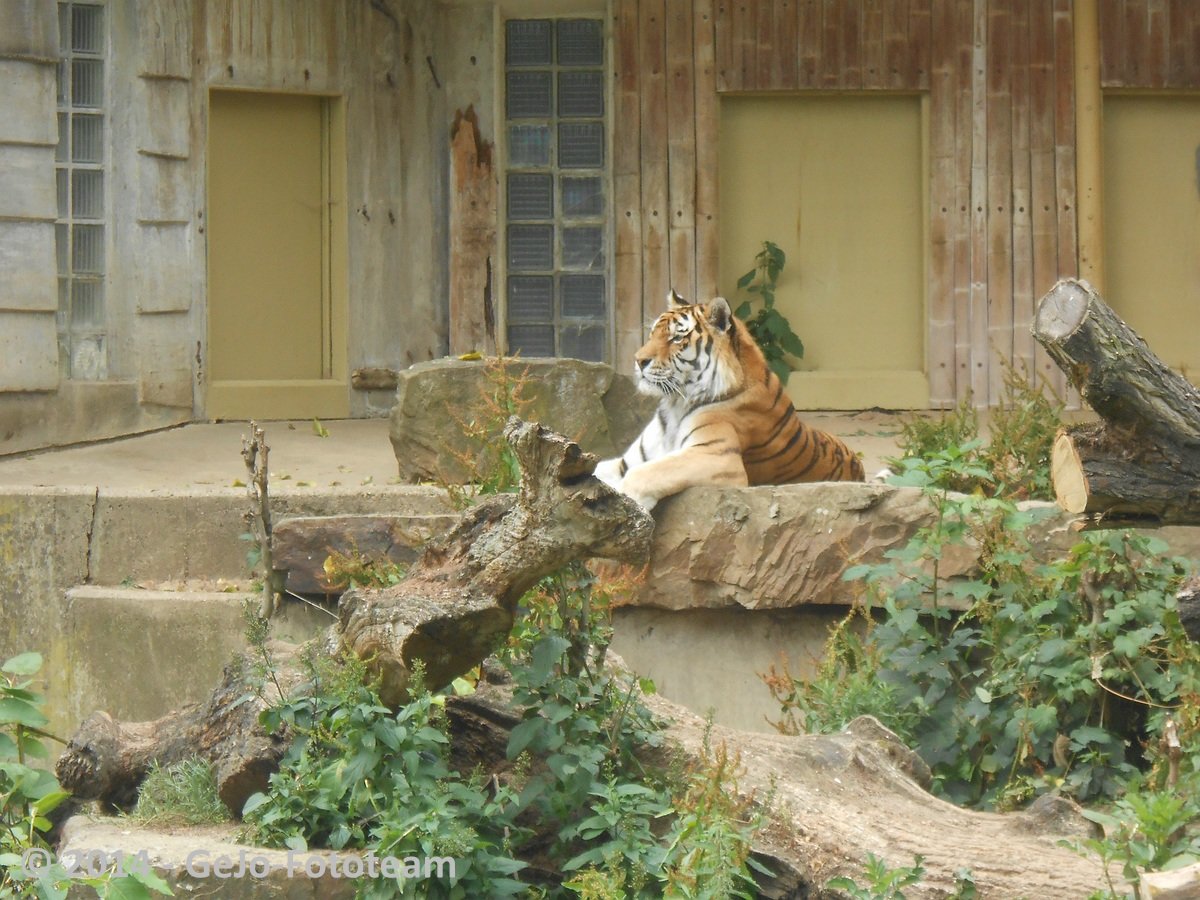 dscn0129.jpg
