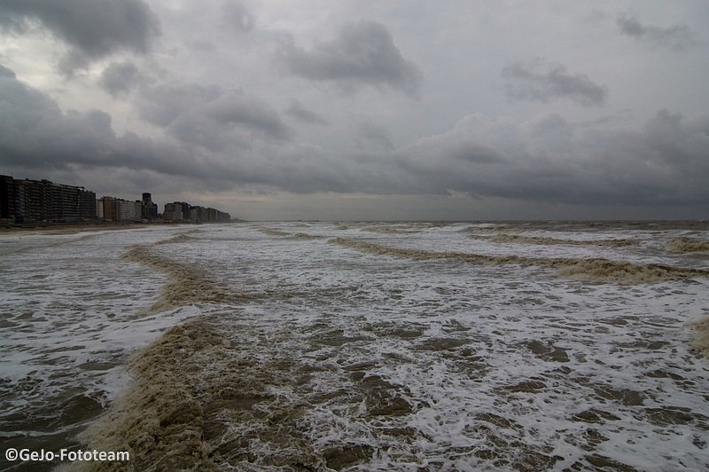 springtijblankenbergefoto13.jpg