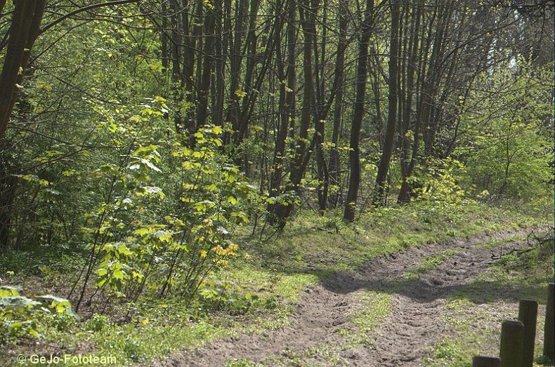 landschappenfoto02.jpg