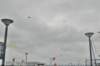 dsc_3639_small.jpg