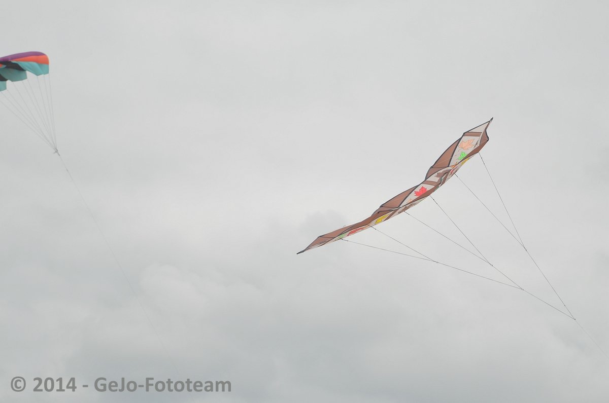 dsc_3661.jpg